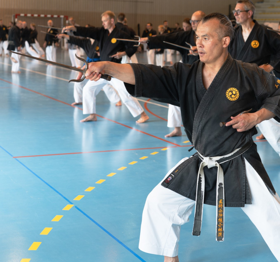 Kobudo Adultes