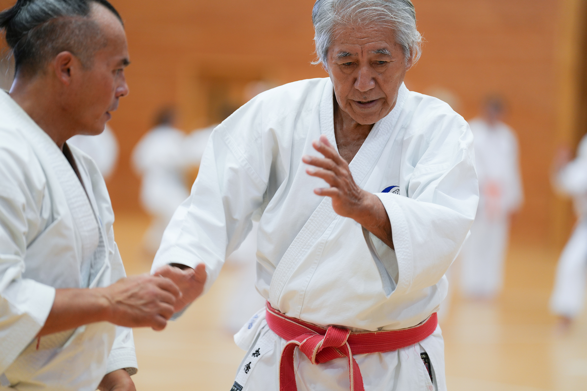Maître Théodore Lê & Maître Kenyu Chinen