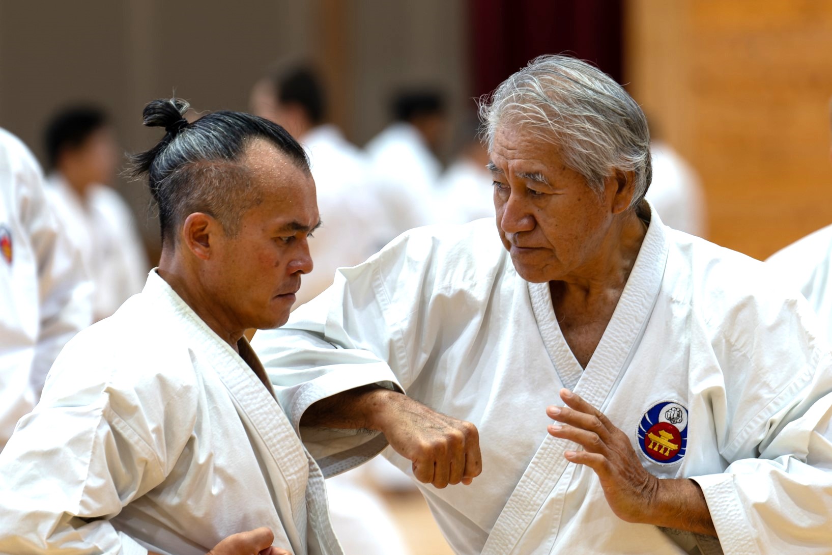 Maître Théodore Lê & Maître Kenyu Chinen